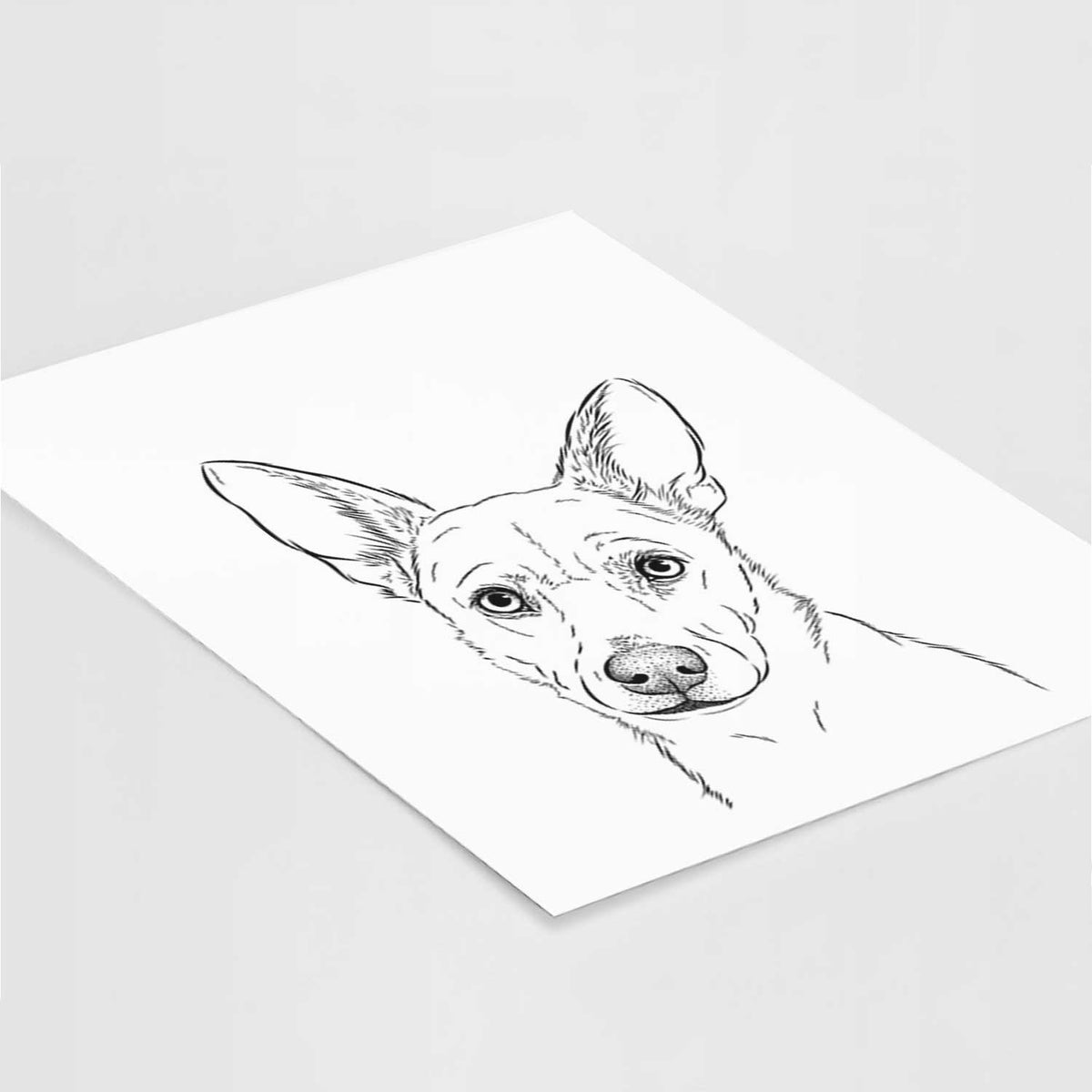 Sooner the Huskimo Art Print