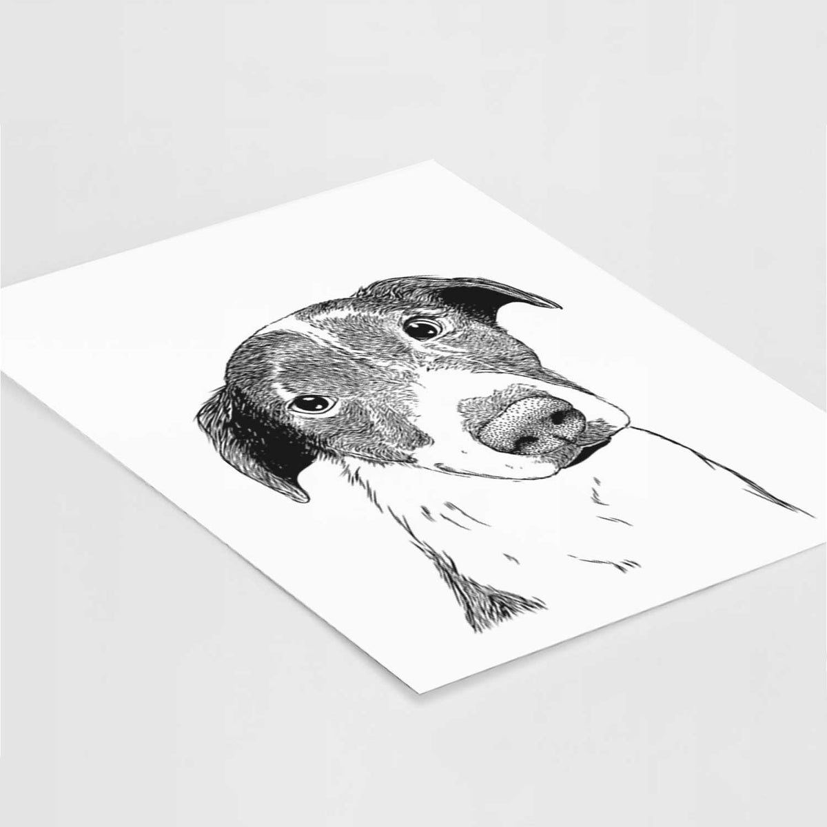 Sophia the Mixed Breed Art Print