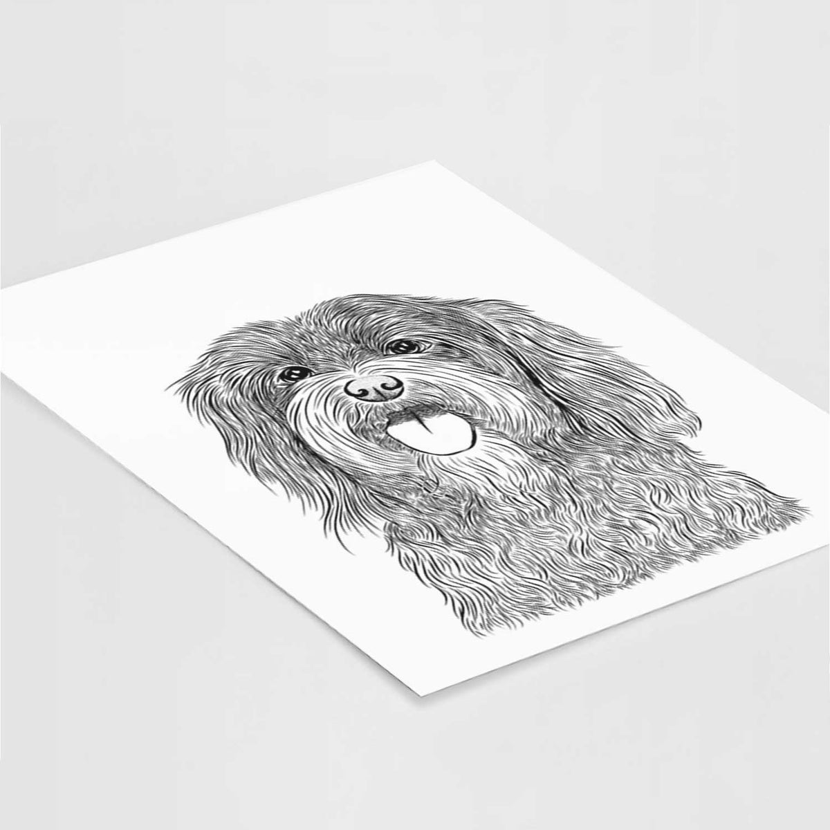 Sophie the Havanese Art Print