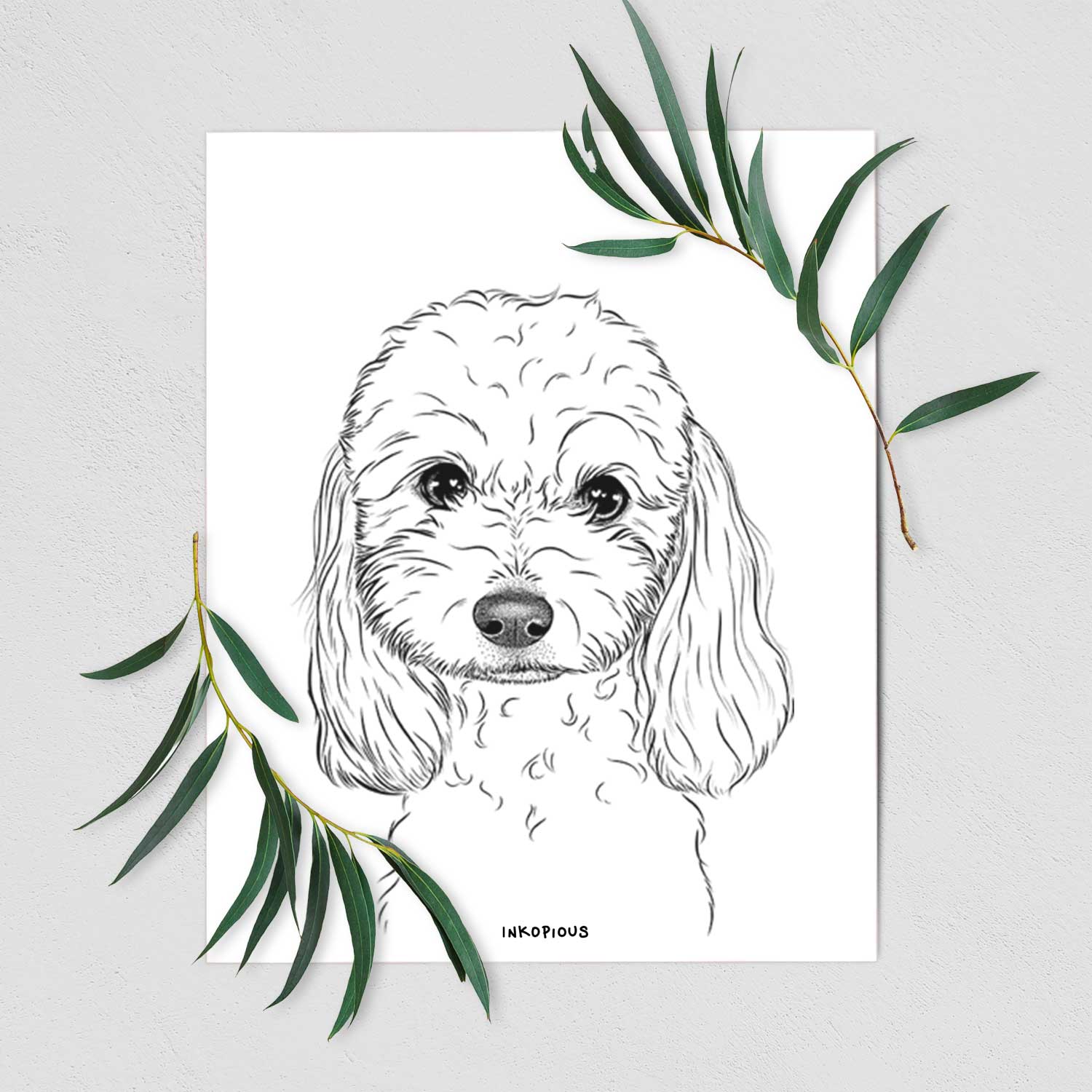 Sophie the Coton de Tulear Art Print