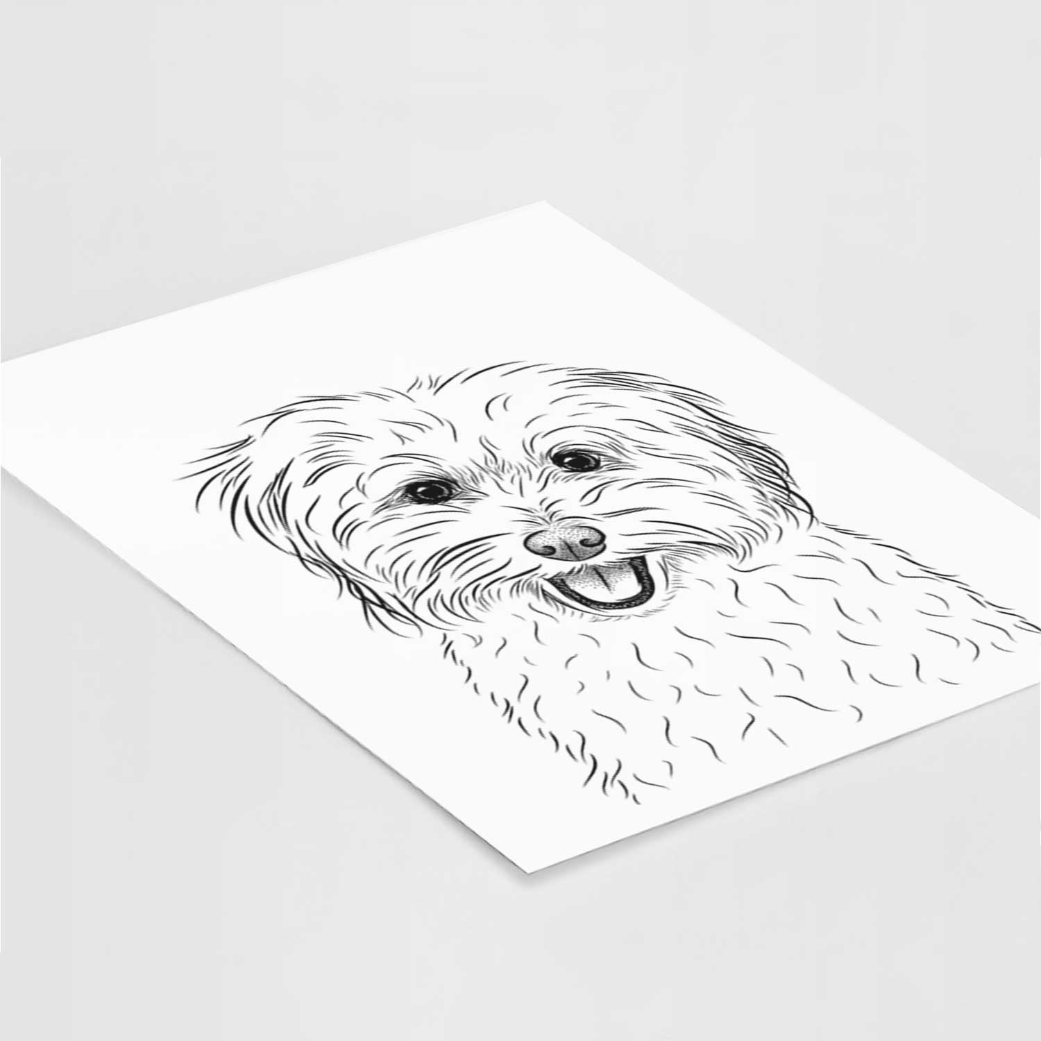 Sophie Quinn the Havanese Art Print