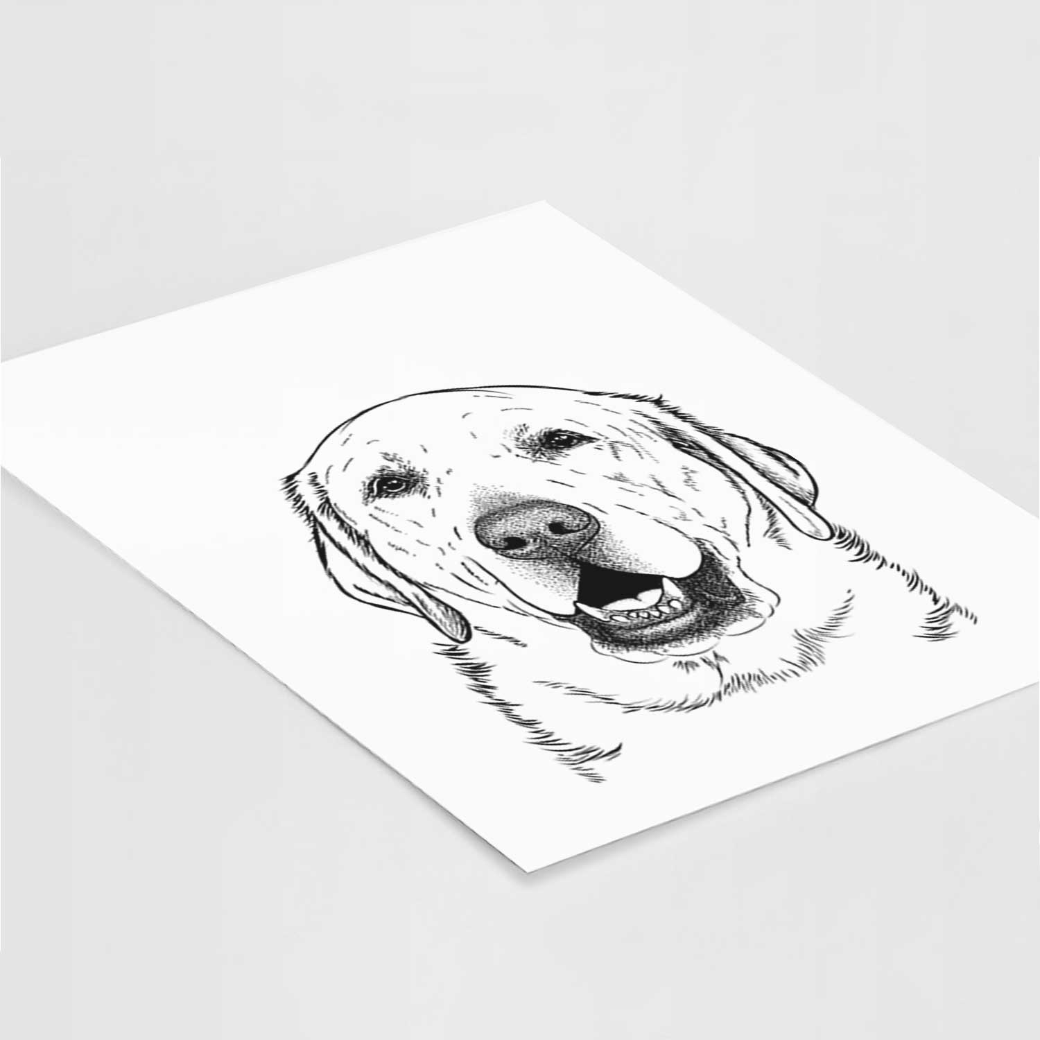 Sparks the Labrador Retriever Art Print