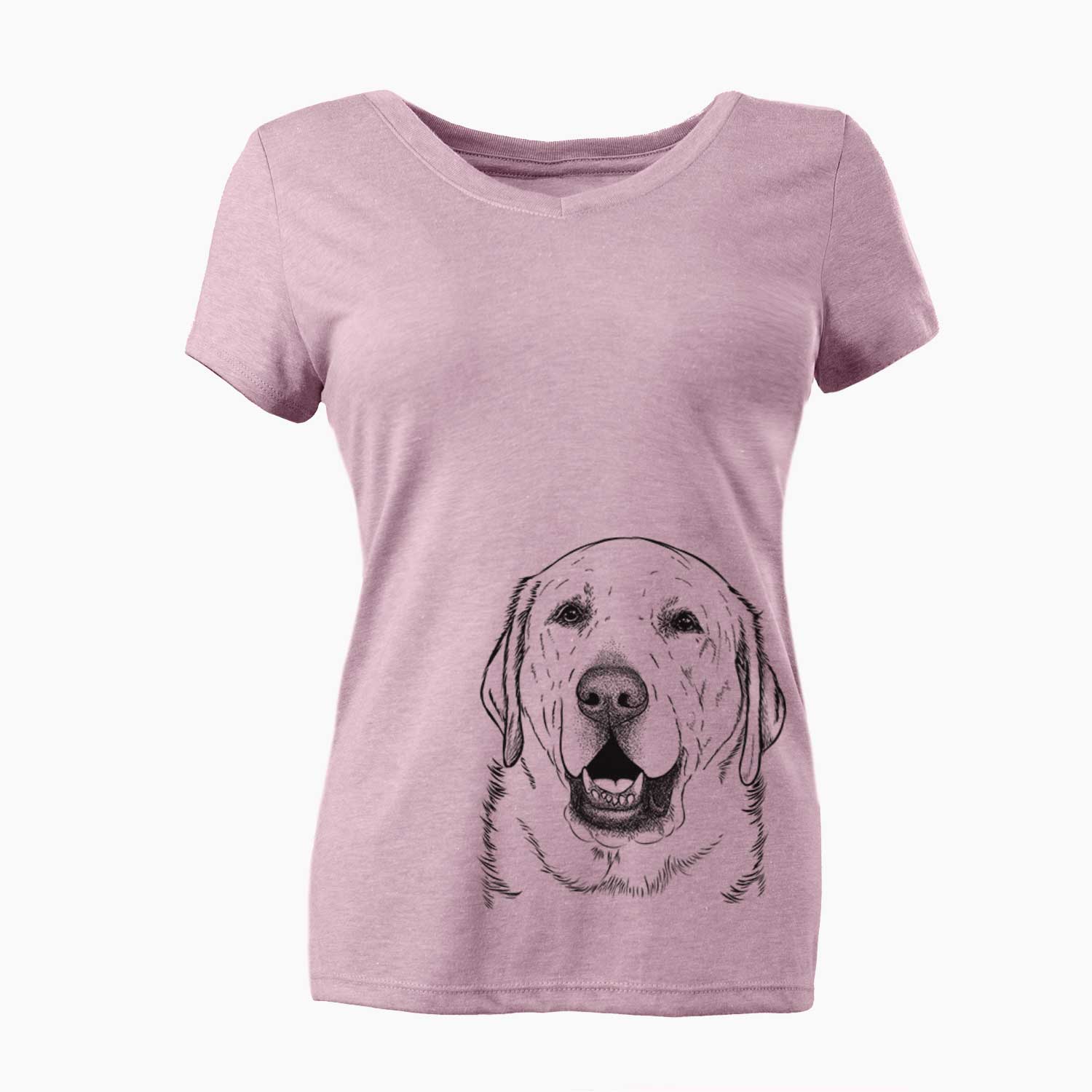 Bare Sparks the Labrador Retriever - Women's V-neck Shirt