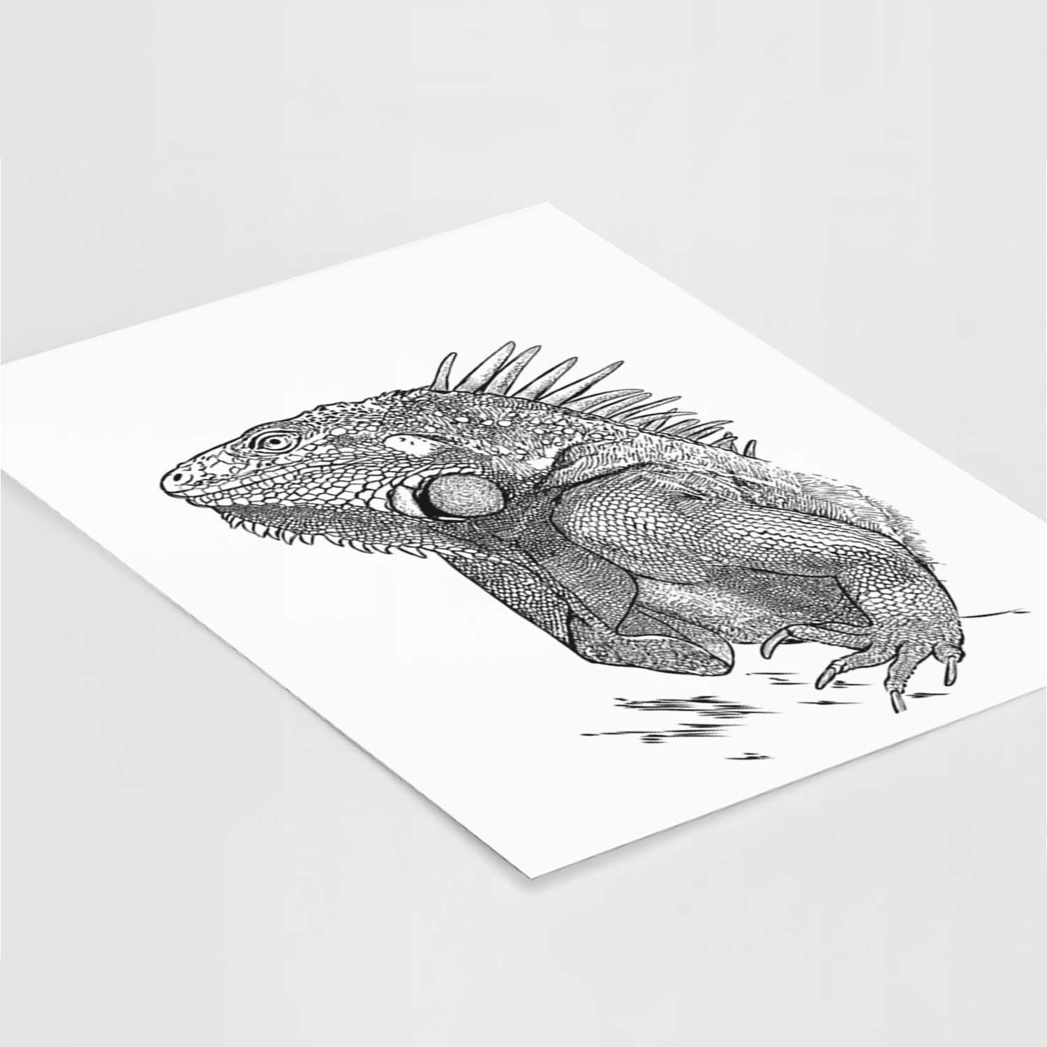 Spike the Iguana Art Print