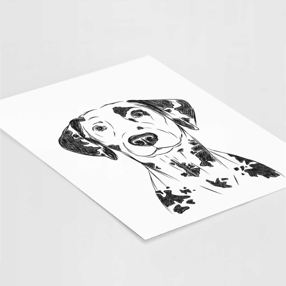 Spot the Dalmatian Art Print