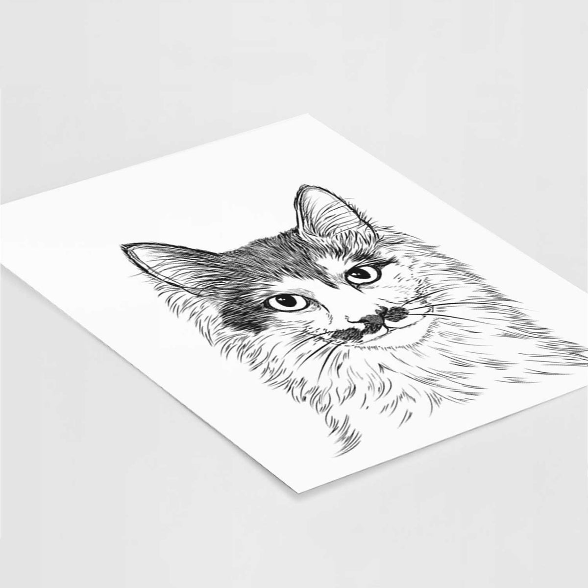 Stache the Longhaired Mustache Cat Art Print