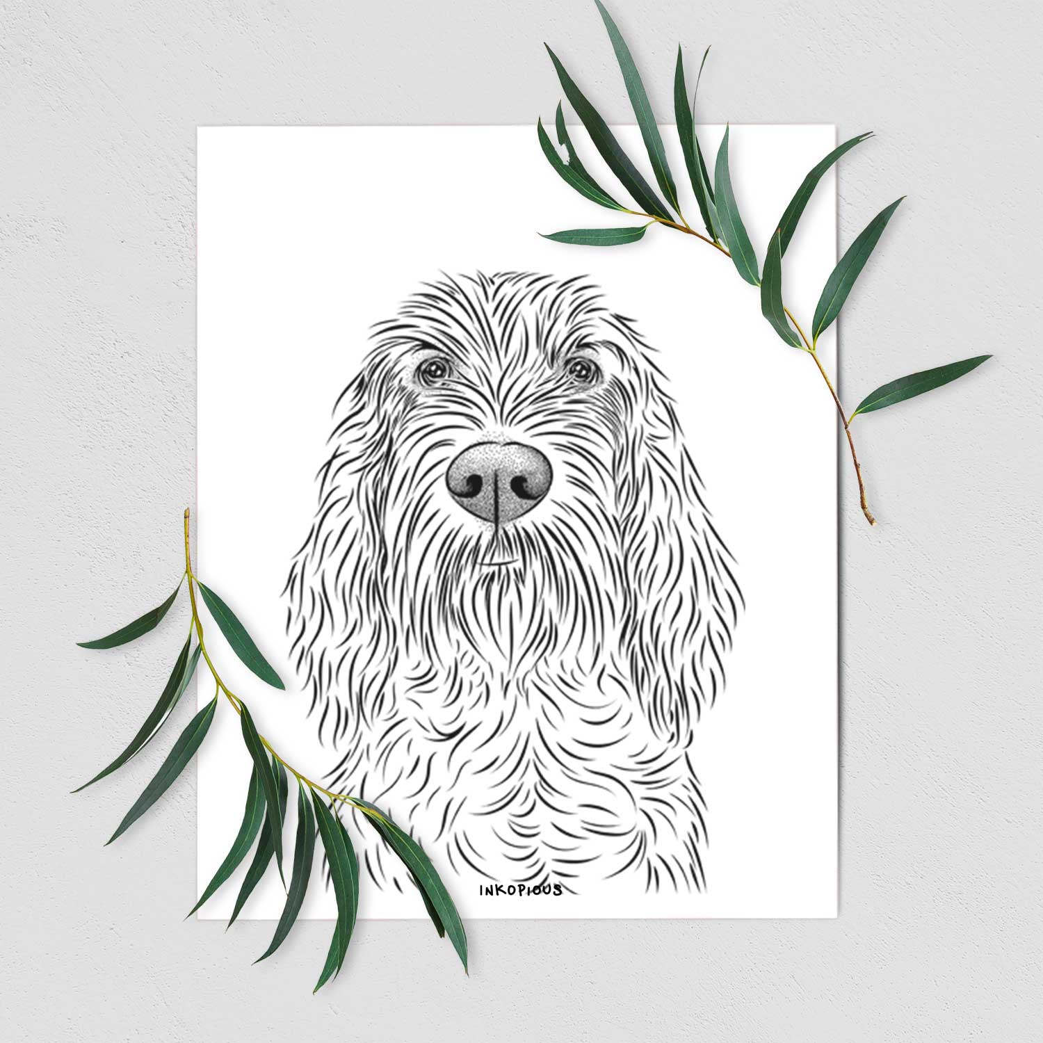 Stefano the Spinone Italiano Art Print