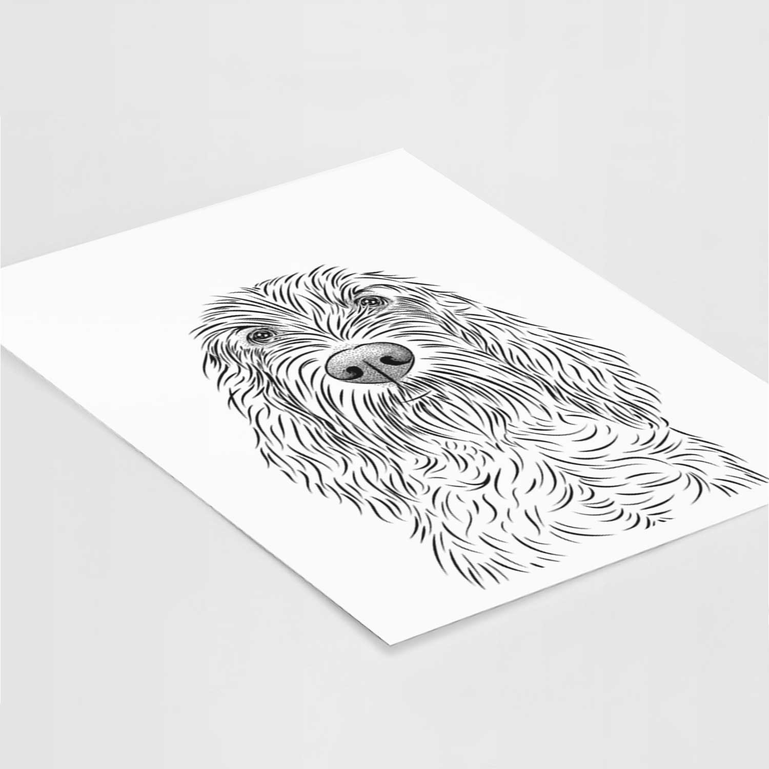 Stefano the Spinone Italiano Art Print