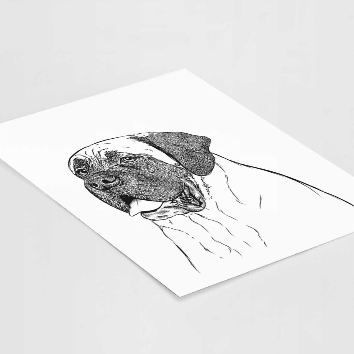 Sterling the English Mastiff Art Print