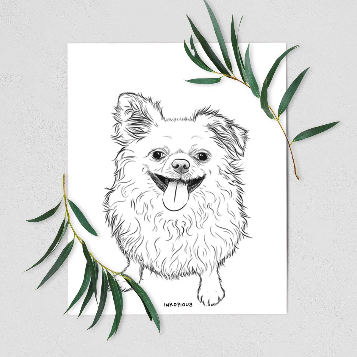 Stuart the Longhaired Chihuahua Art Print