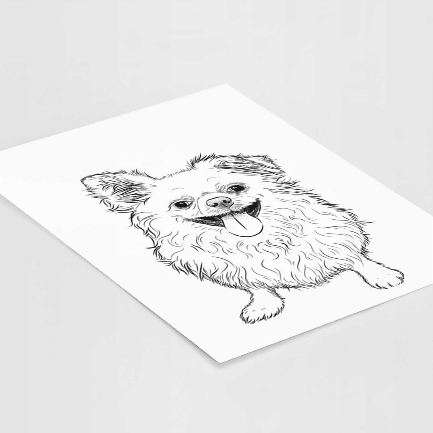 Stuart the Longhaired Chihuahua Art Print
