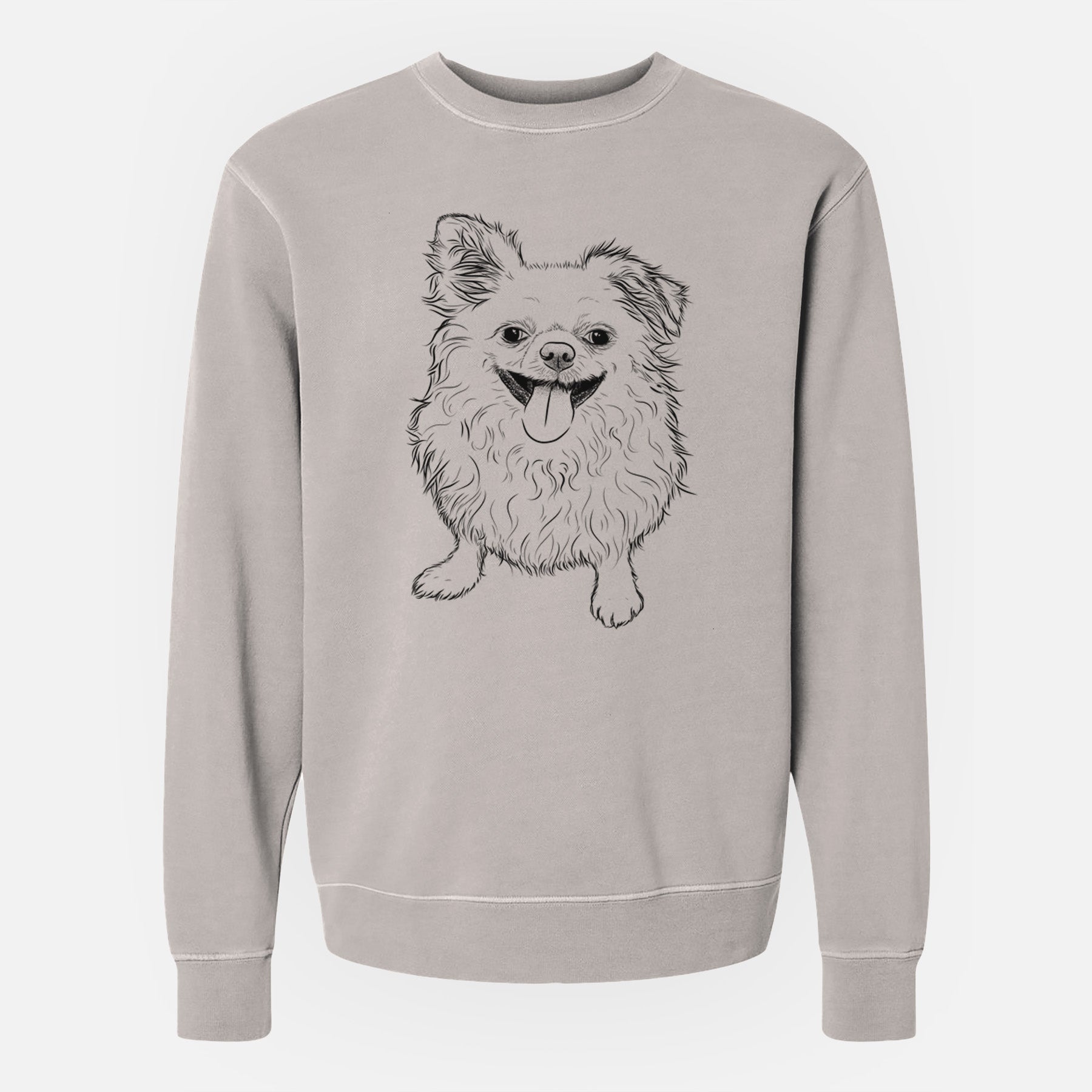 Bare Stuart the Longhaired Chihuahua - Unisex Pigment Dyed Crew Sweatshirt