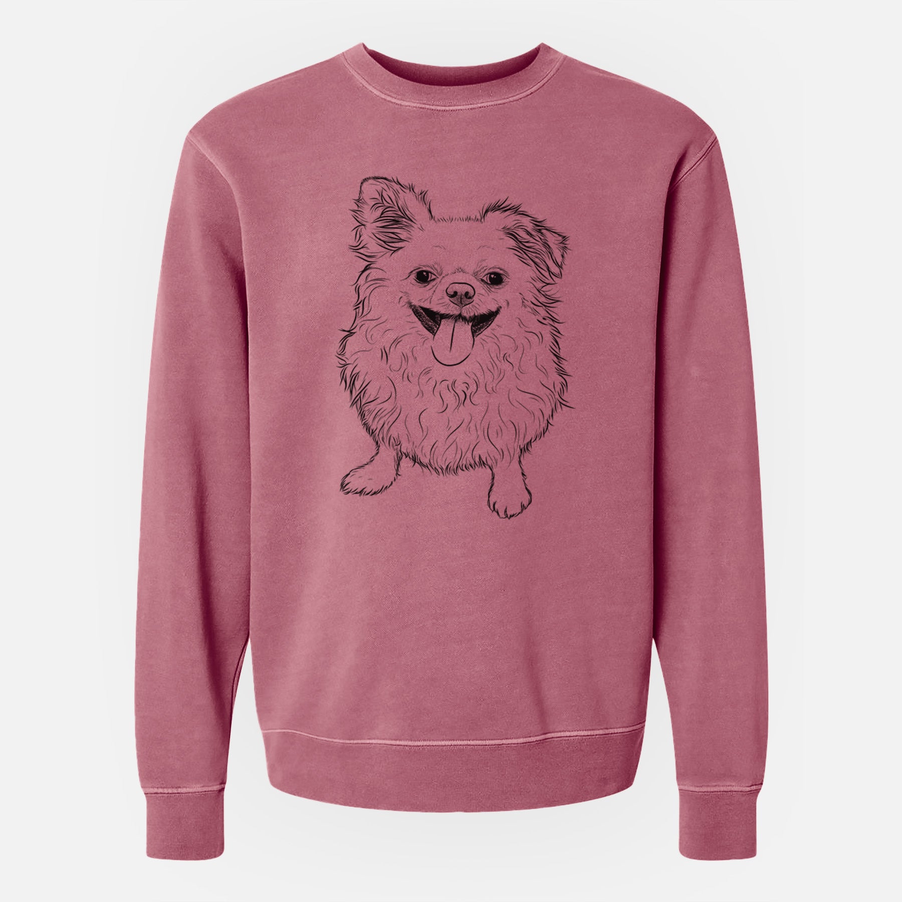 Bare Stuart the Longhaired Chihuahua - Unisex Pigment Dyed Crew Sweatshirt