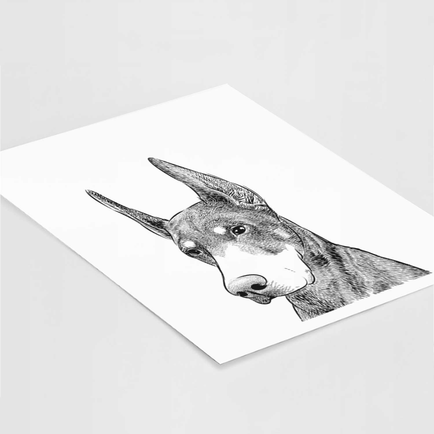 Sunny the Doberman Pinscher Art Print