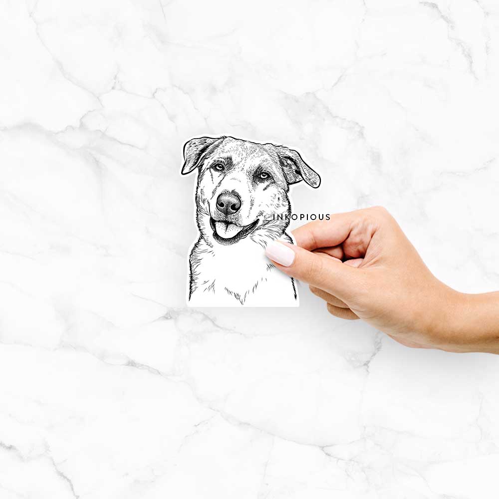 Sydney the Great Pyrenees Australian Shepherd Mix - Decal Sticker