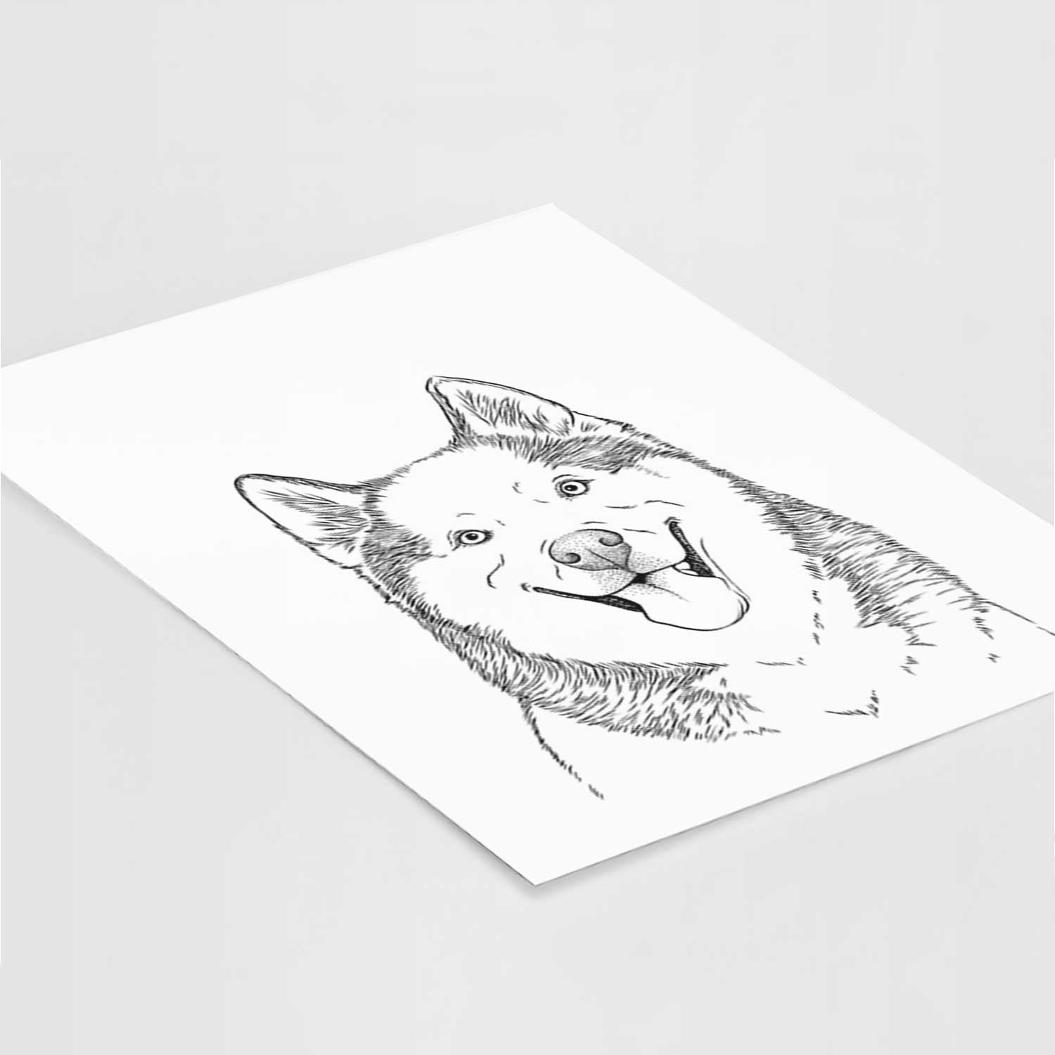 Teak the Siberian Husky Art Print