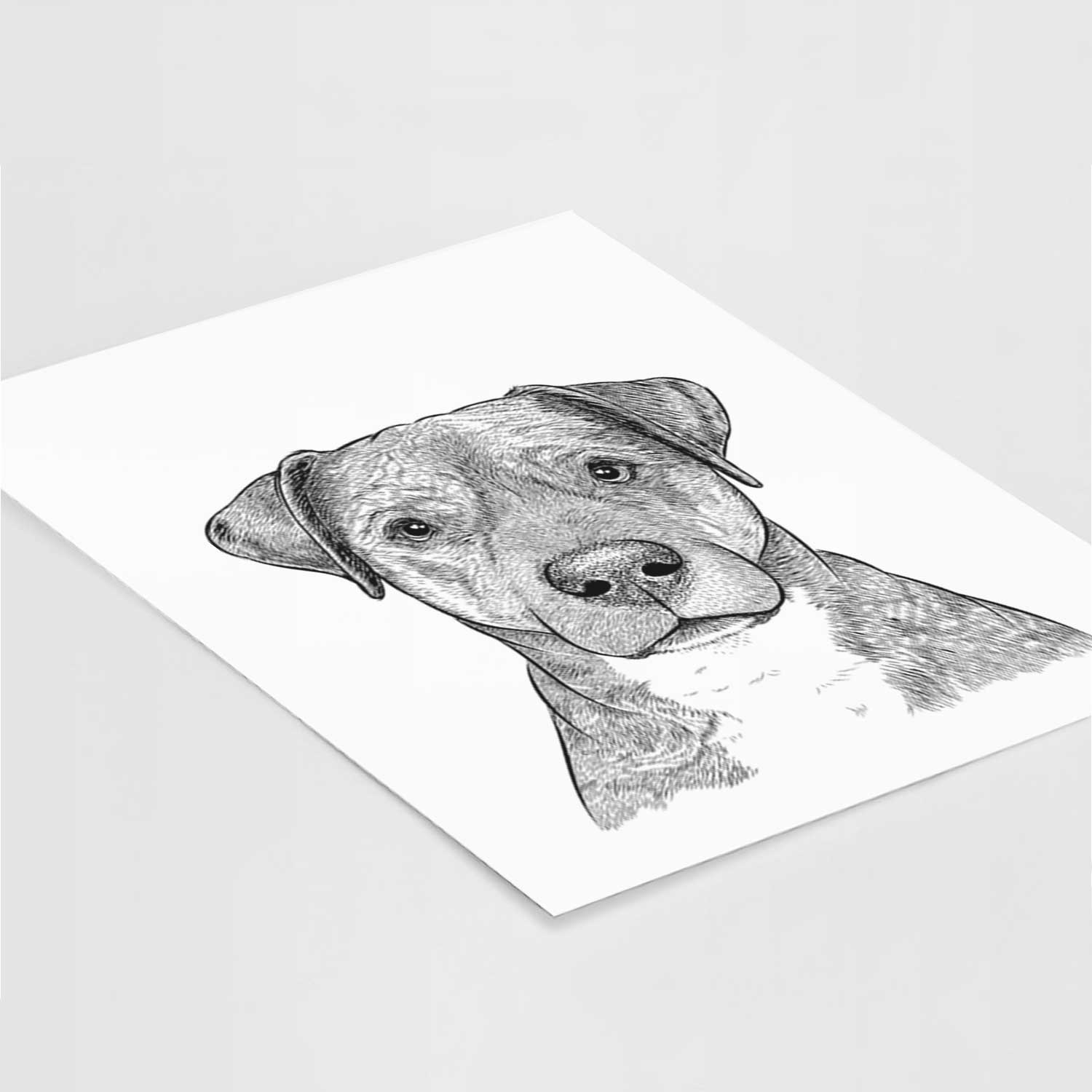 TedE the Mixed Breed Art Print