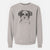 Bare Teddy the Havanese - Unisex Pigment Dyed Crew Sweatshirt