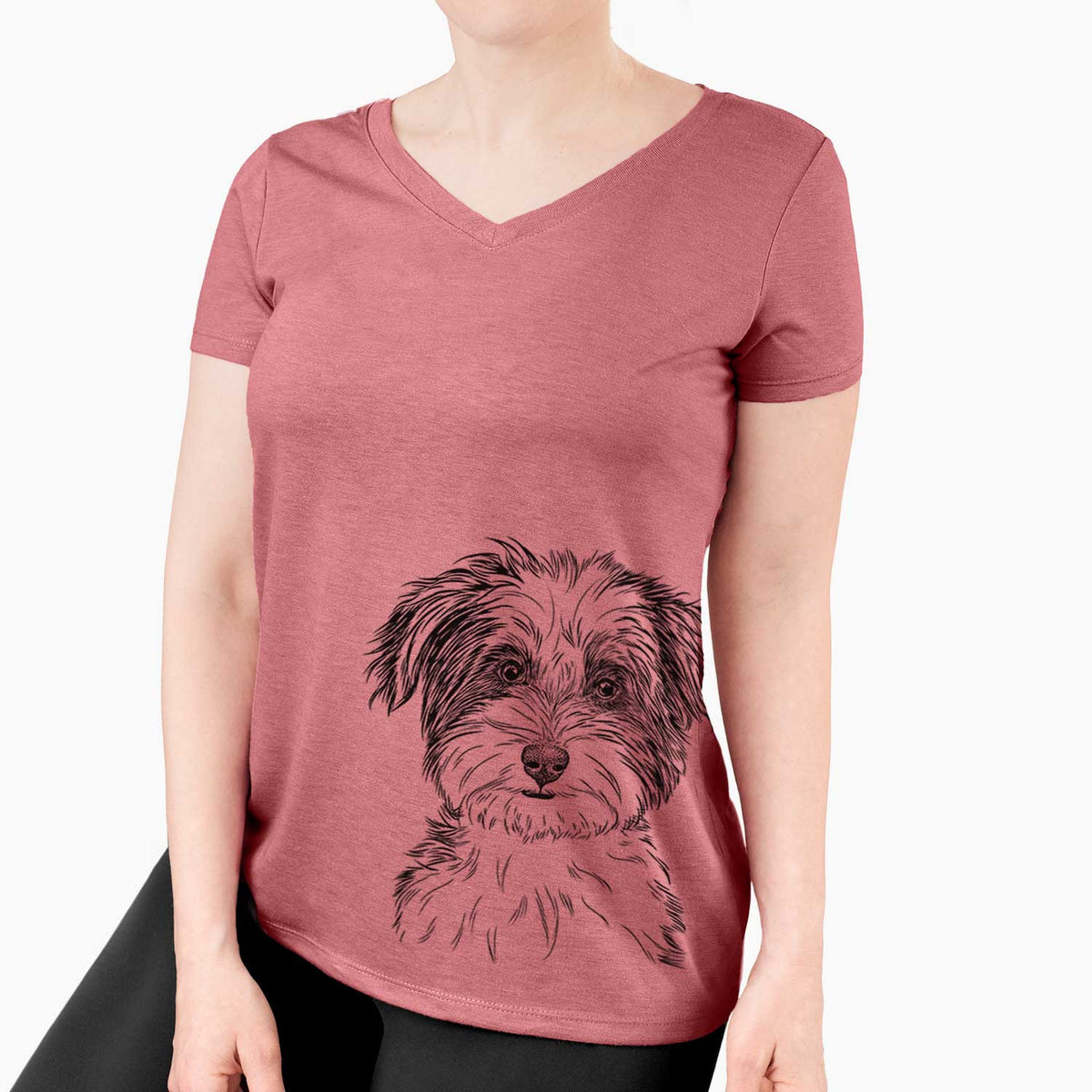 Bare Teddy the Havanese - Women's V-neck Shirt