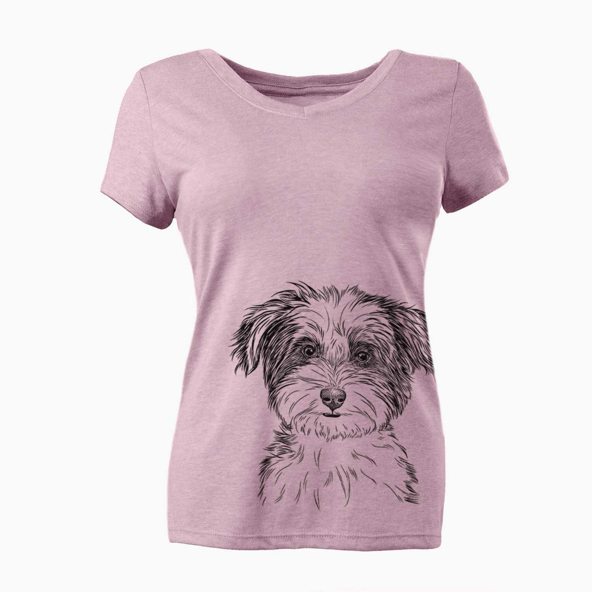 Bare Teddy the Havanese - Women's V-neck Shirt