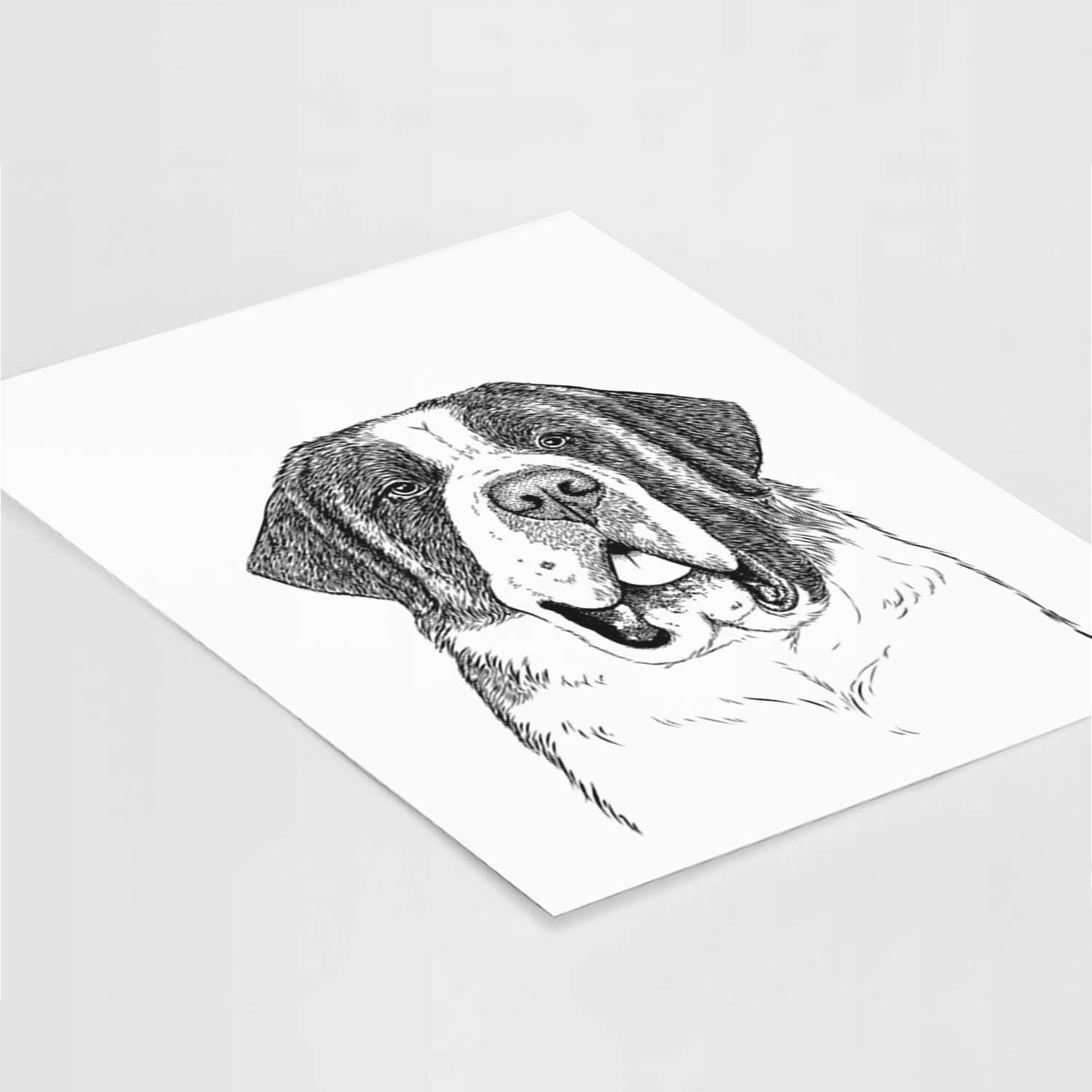 Thor the Saint Bernard Art Print