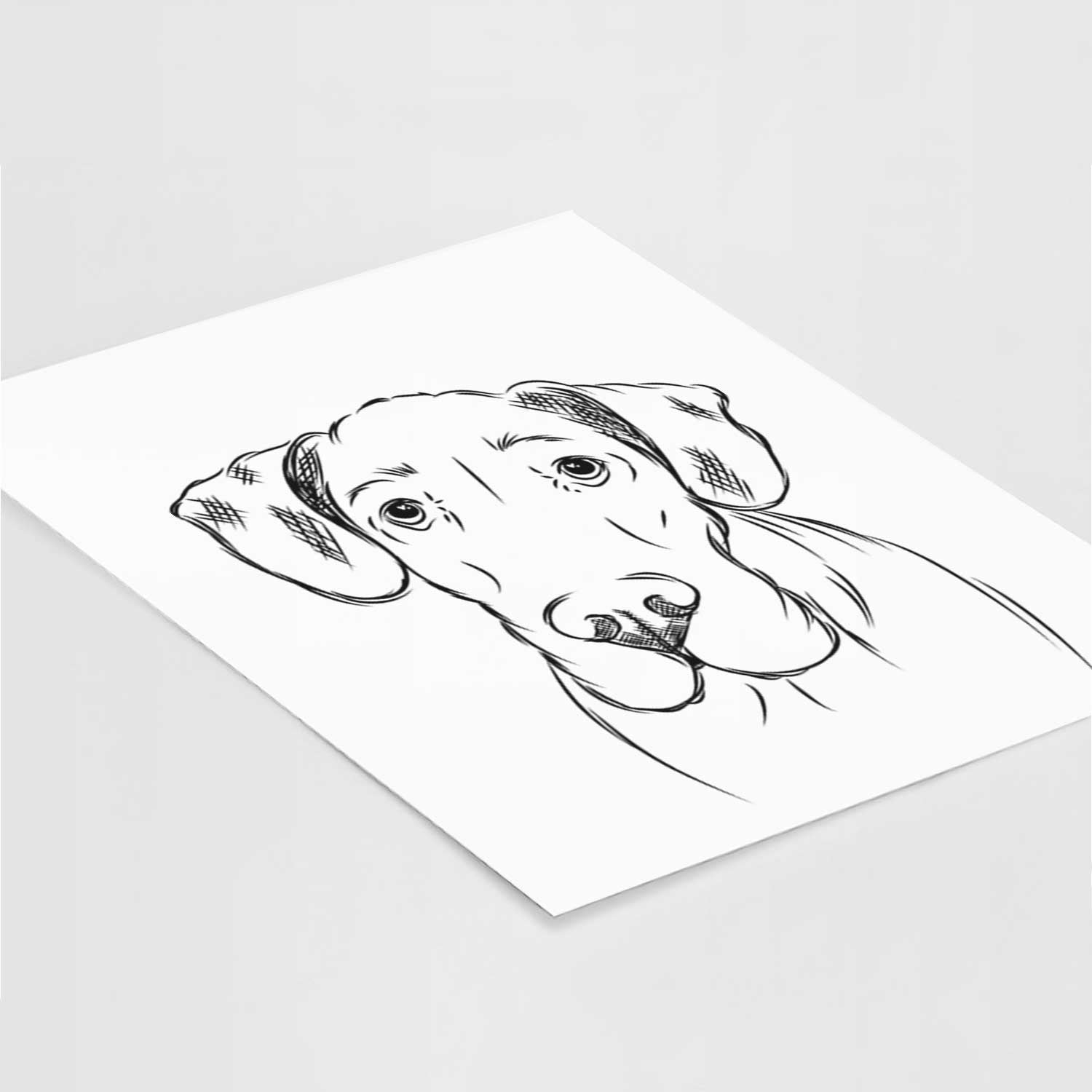 Titus the Great Dane Art Print