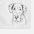 Titus the Great Dane Decorative Hand Towel