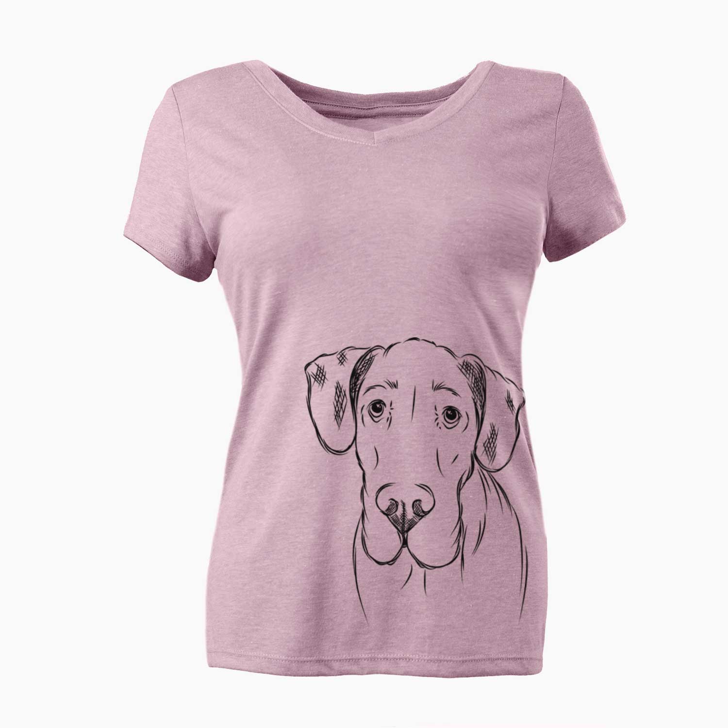 Titus the Great Dane - Women's V-neck Shirt