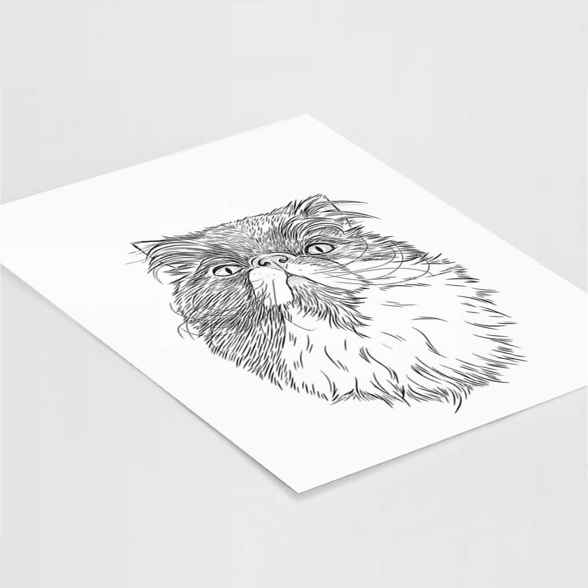 Tookie the Perisan Cat Art Print