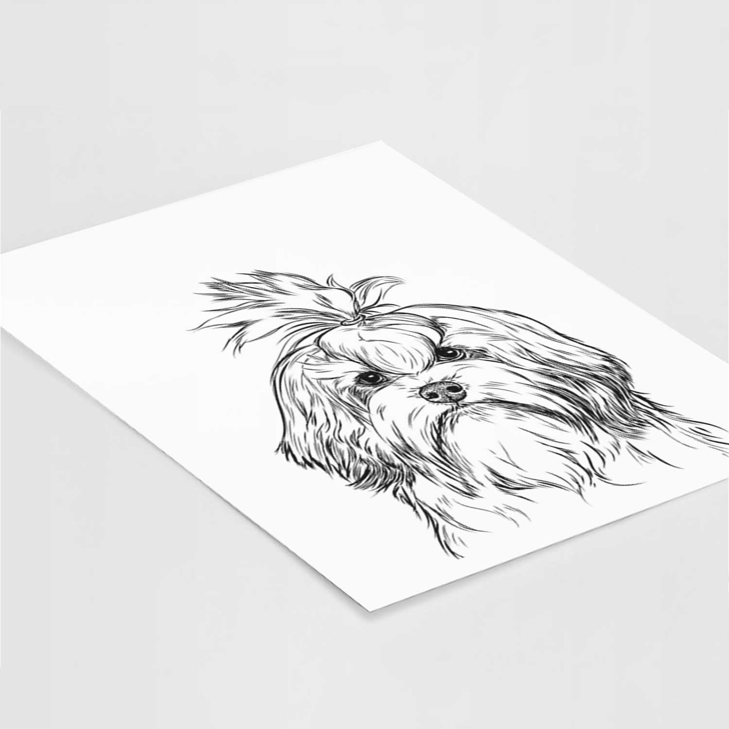 Tootsie the Lowchen Art Print