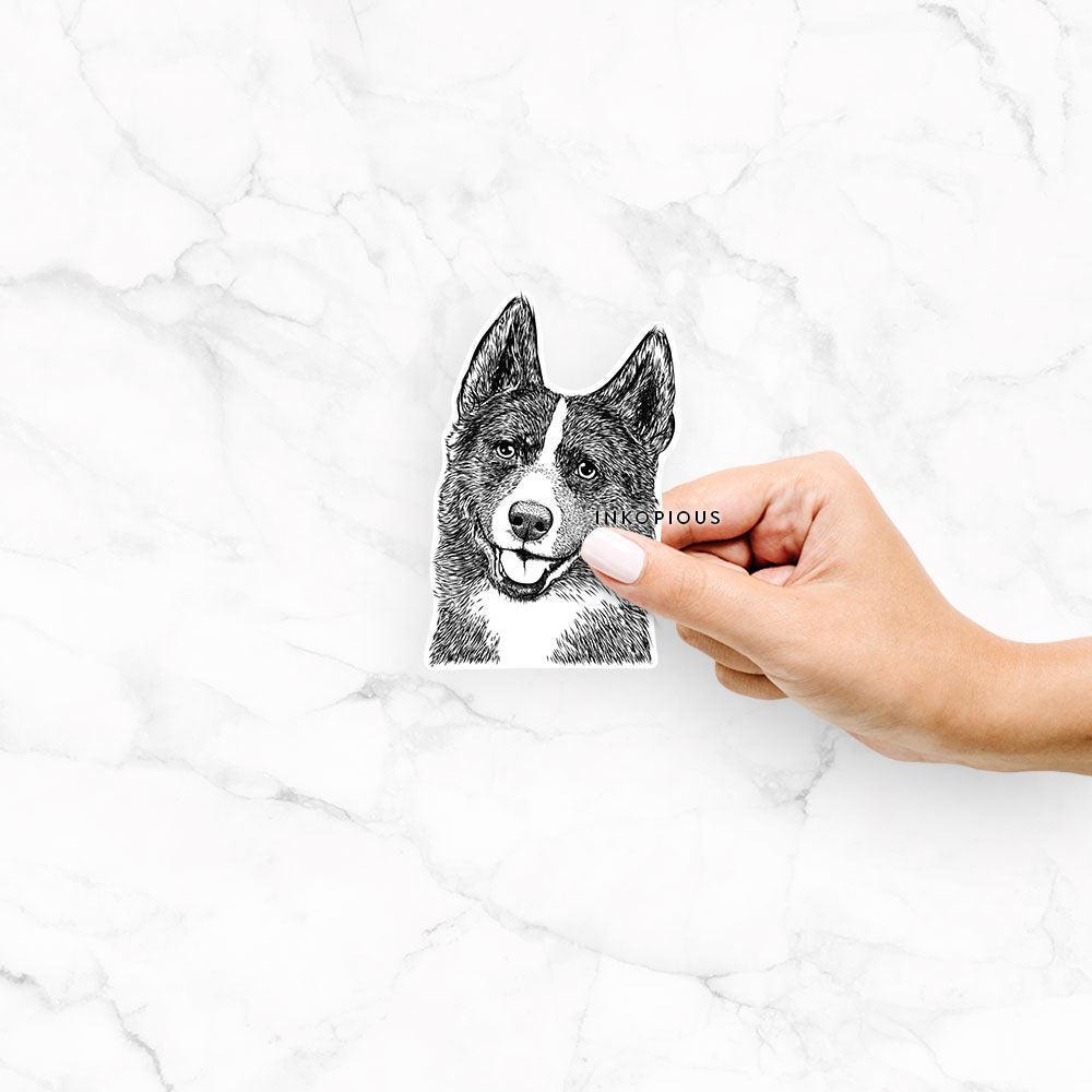 Tosca the Karelian Bear Dog - Decal Sticker