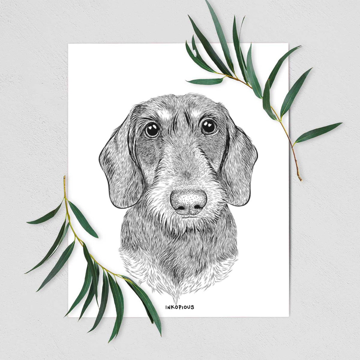 Truman the Wirehaired Dachshund Art Print