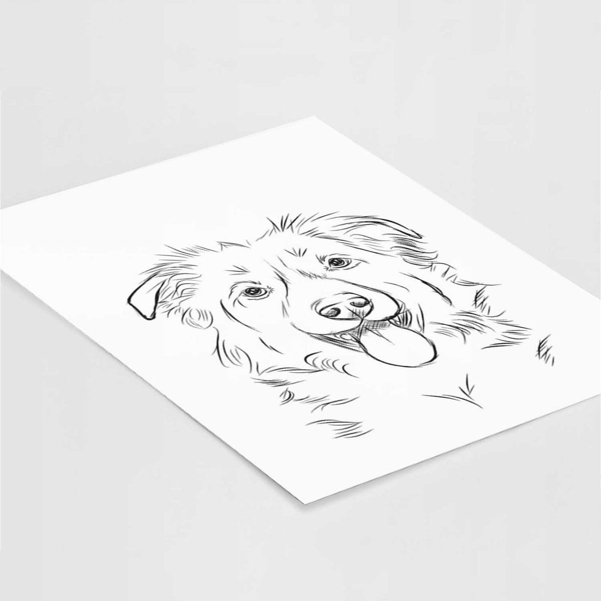 Tucker the Collie Shepherd Art Print