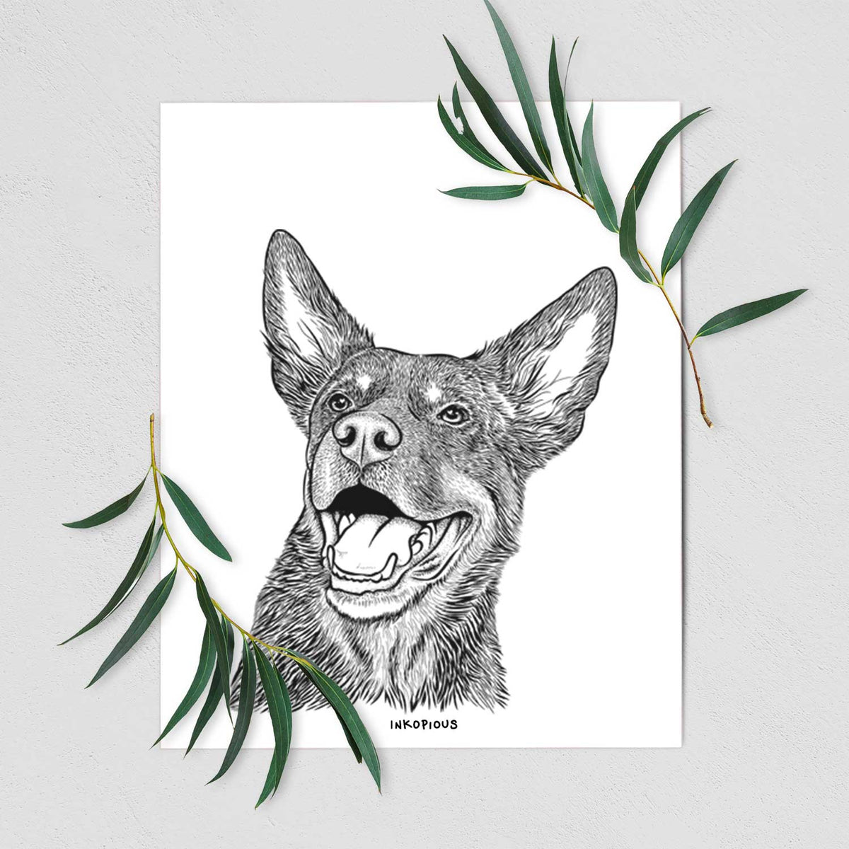 Tucker the Australian Kelpie Art Print