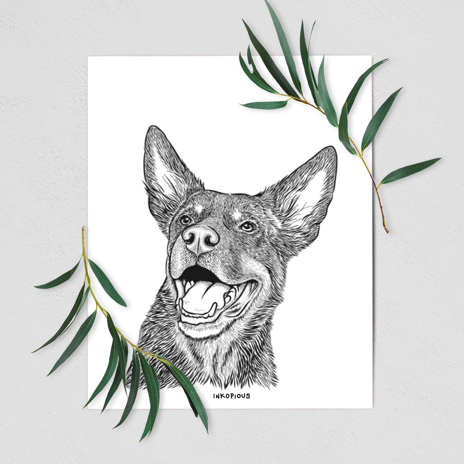 Tucker the Australian Kelpie Art Print