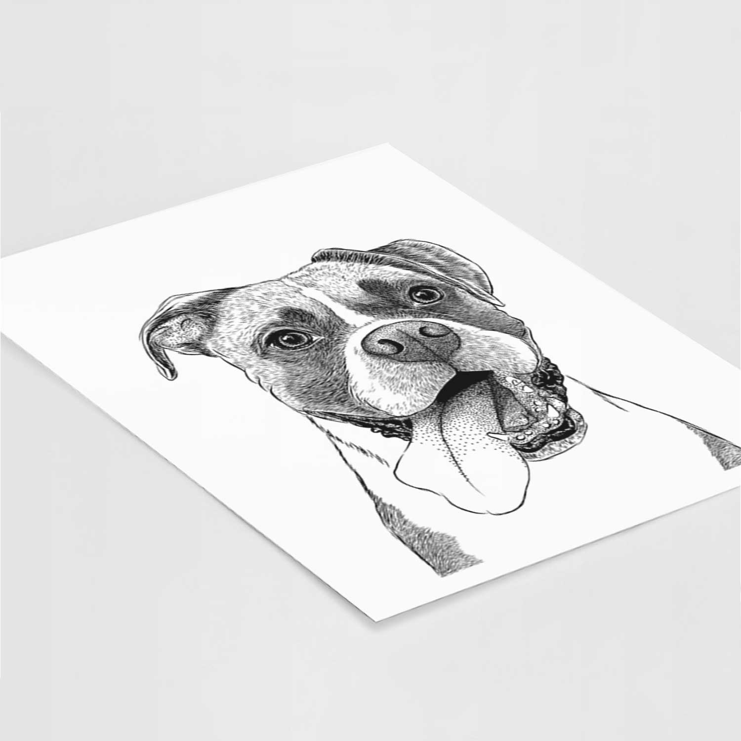 Tuckeroo the Boxer Art Print