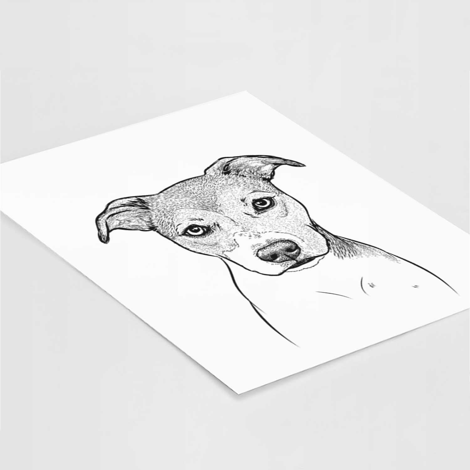 Tula the American Staffordshire Heeler Mix Art Print