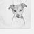 Tula the American Staffordshire Terrier Heeler Mix Decorative Hand Towel