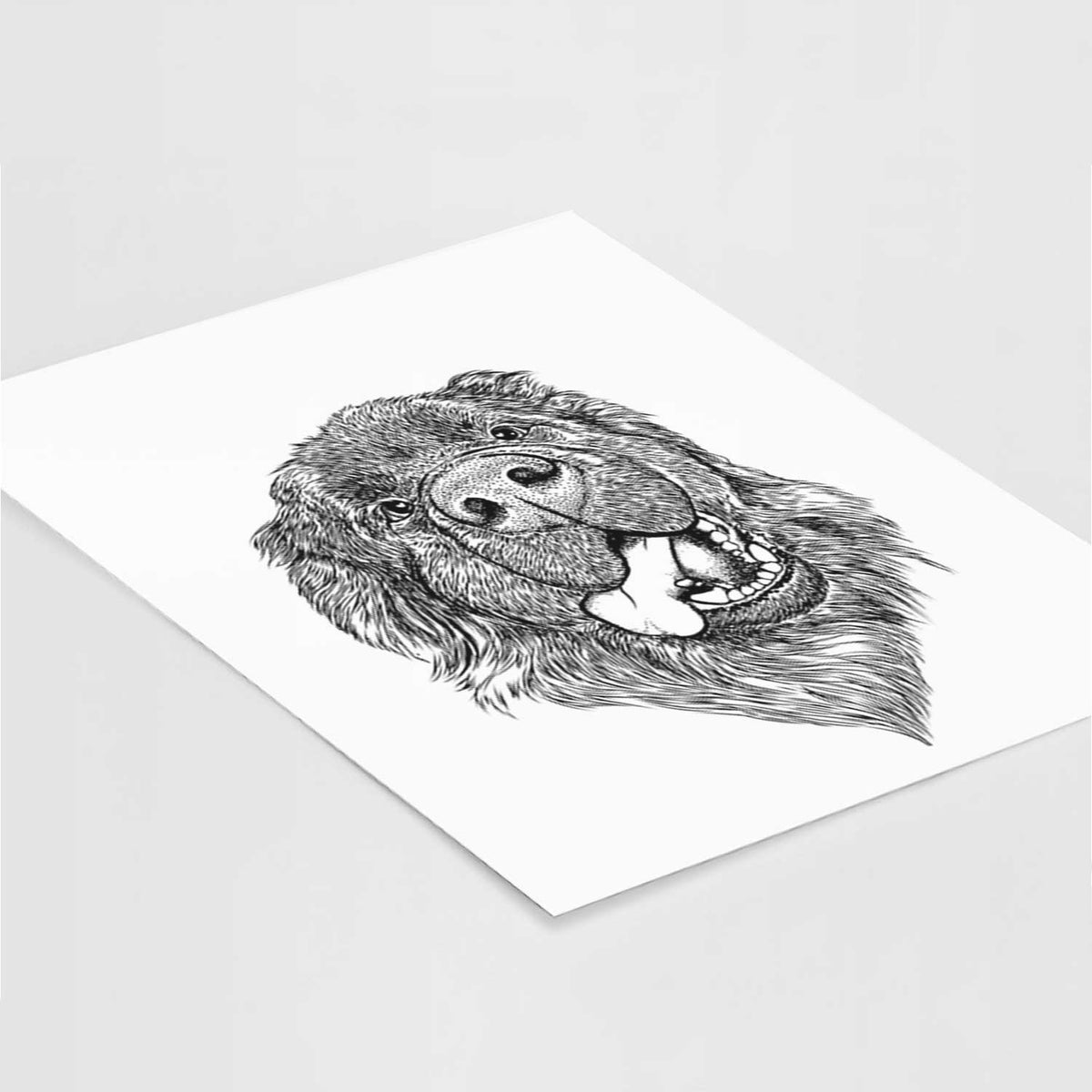 Tuna the Newfoundland Art Print