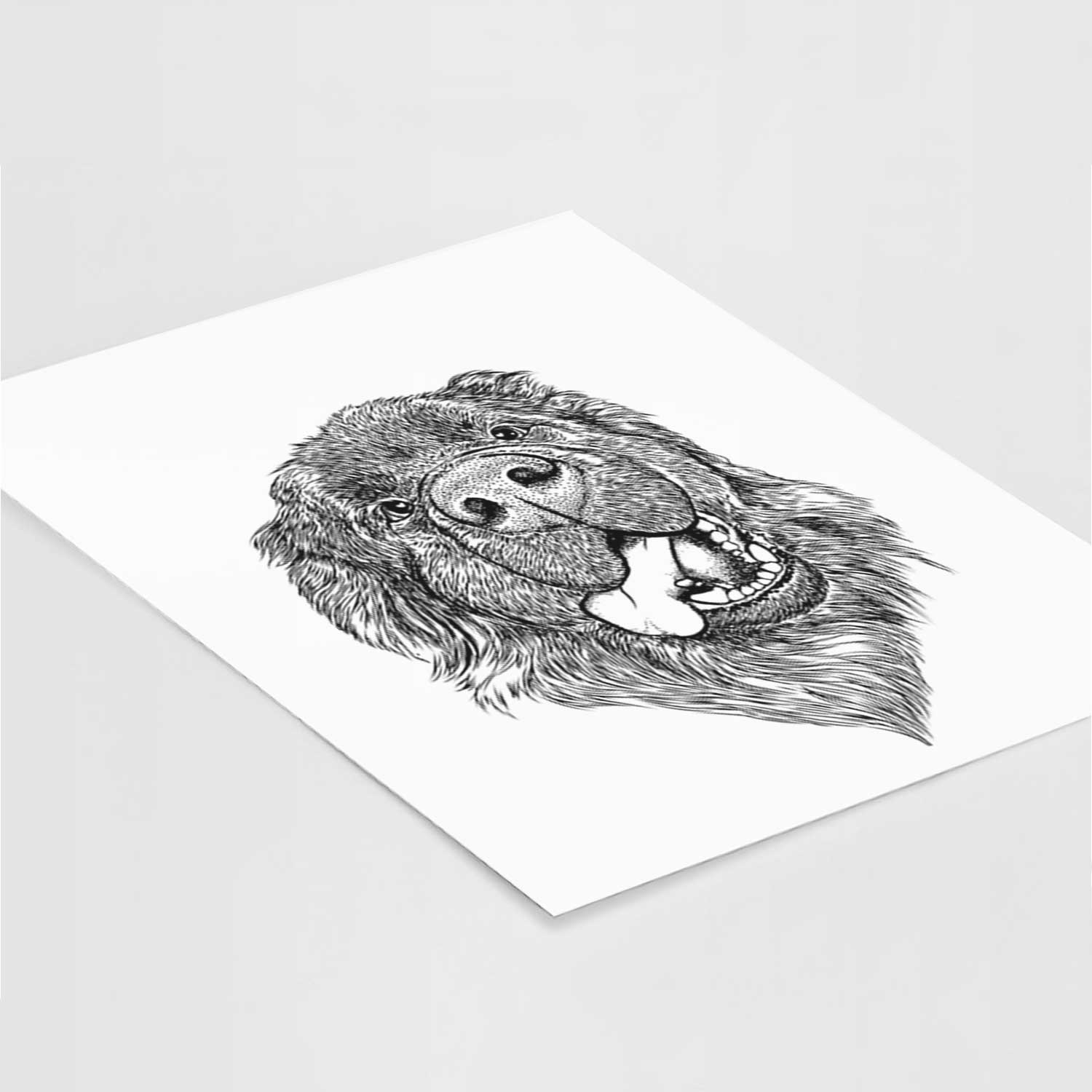 Tuna the Newfoundland Art Print