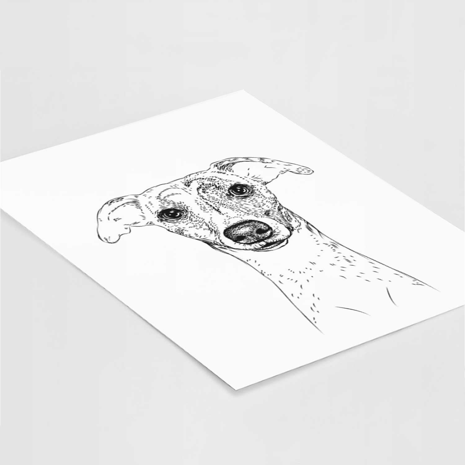 Twiggy the Whippet Art Print