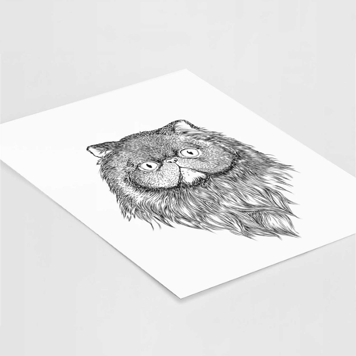 Vader the Persian Cat Art Print