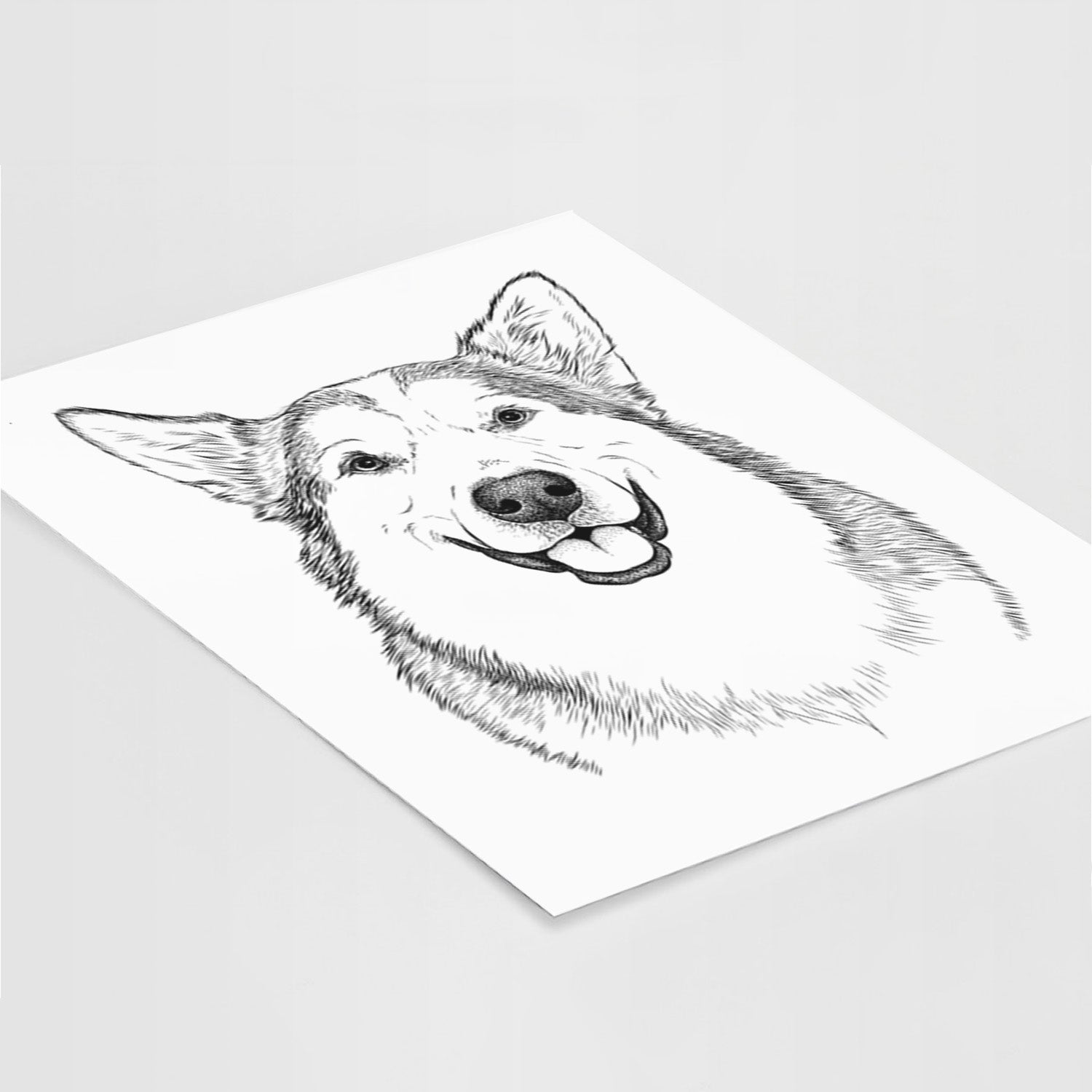 Vader the Alaskan Malamute Art Print