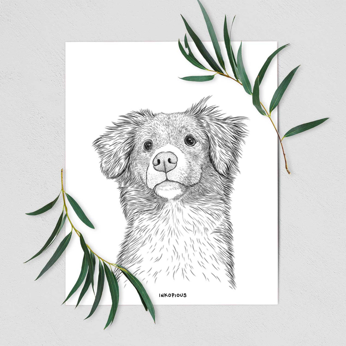 Vixen the Nova Scotia Duck Tolling Retriever Art Print