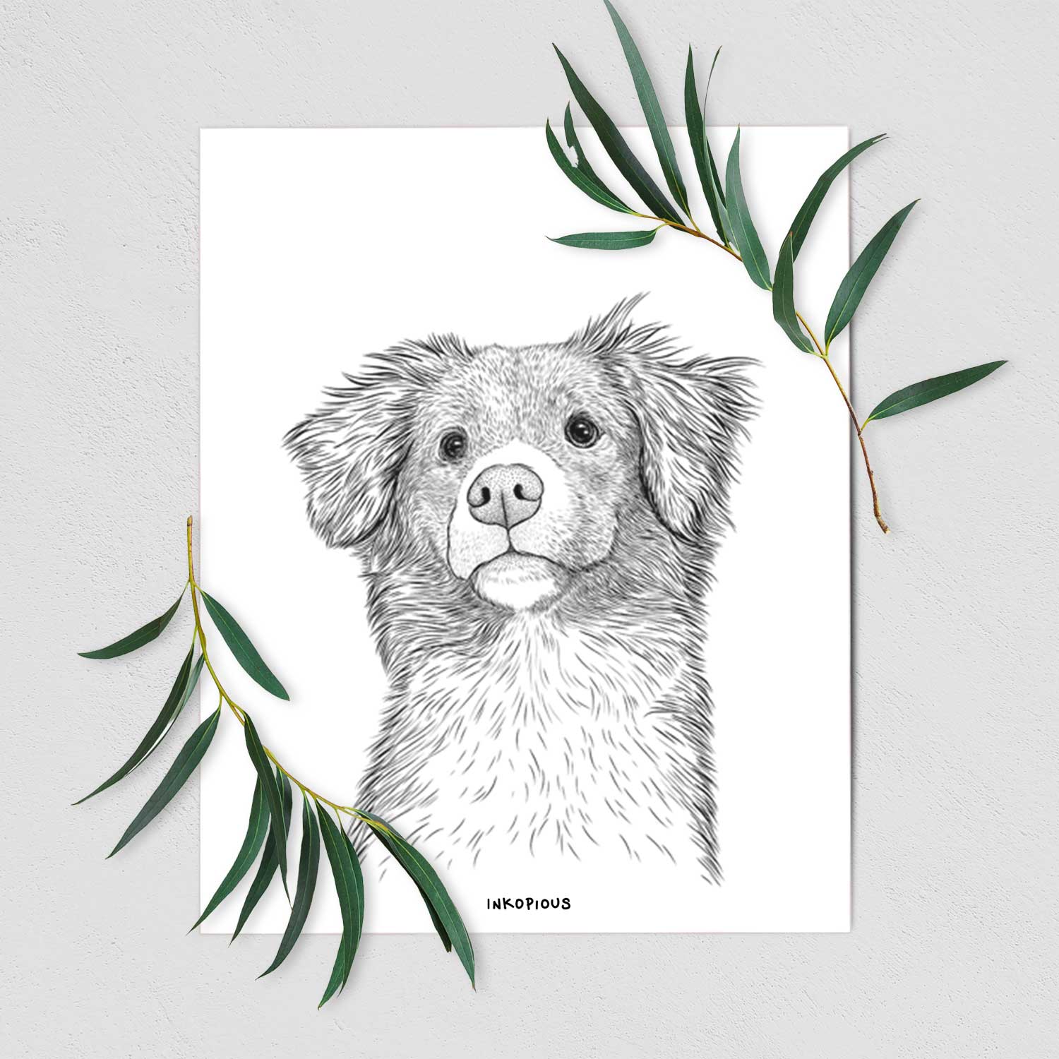 Vixen the Nova Scotia Duck Tolling Retriever Art Print