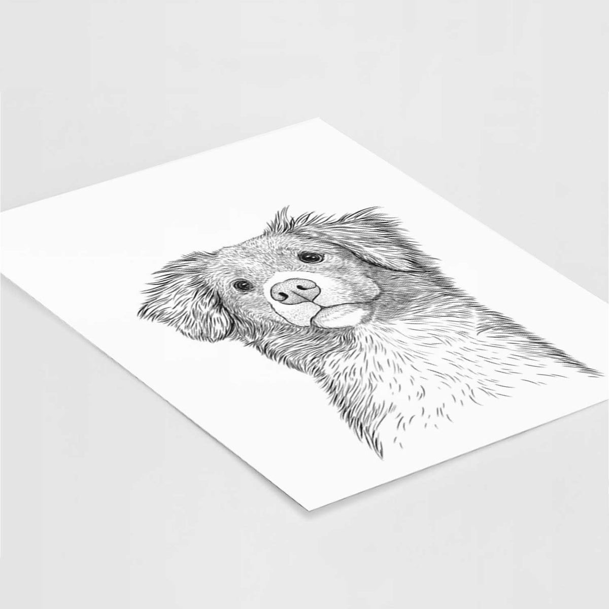 Vixen the Nova Scotia Duck Tolling Retriever Art Print