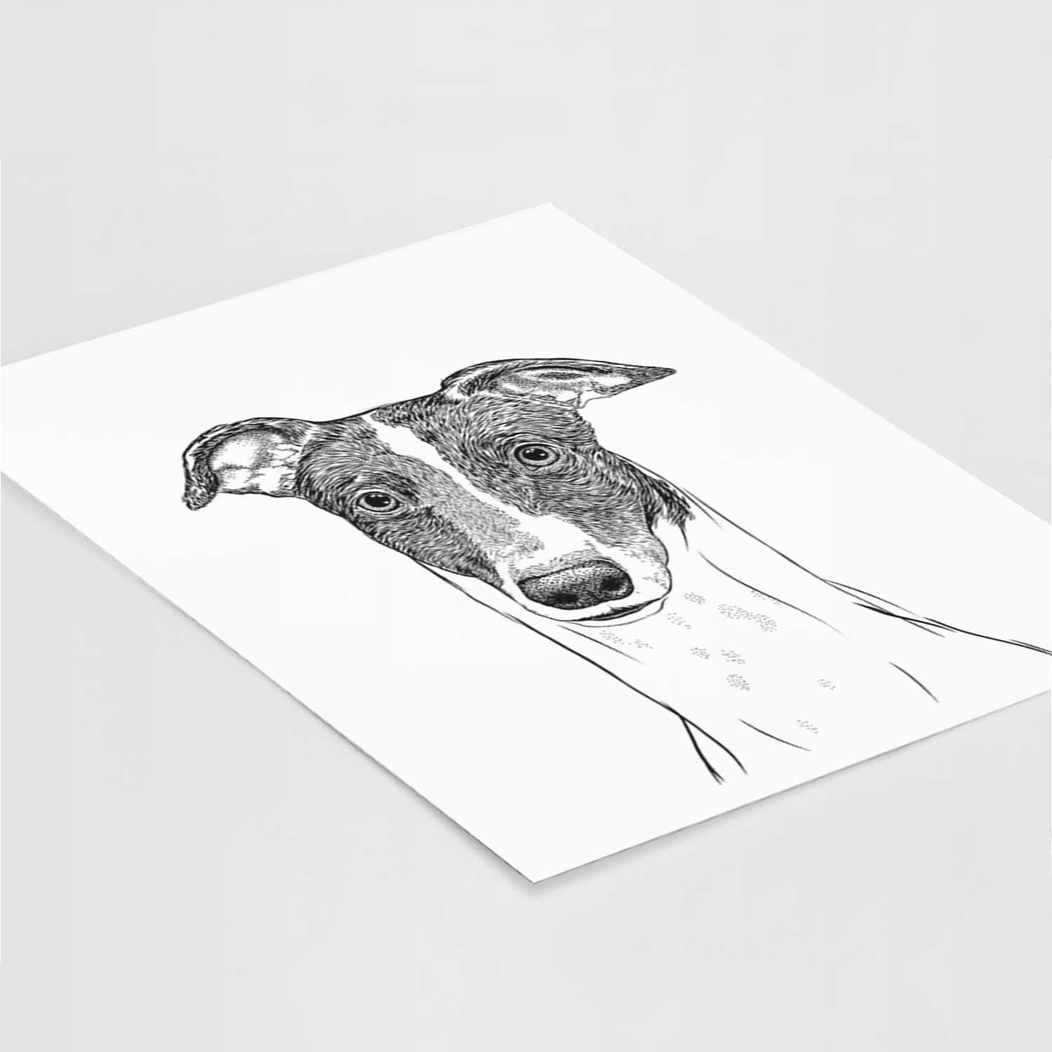 Vyncent the Greyhound Art Print