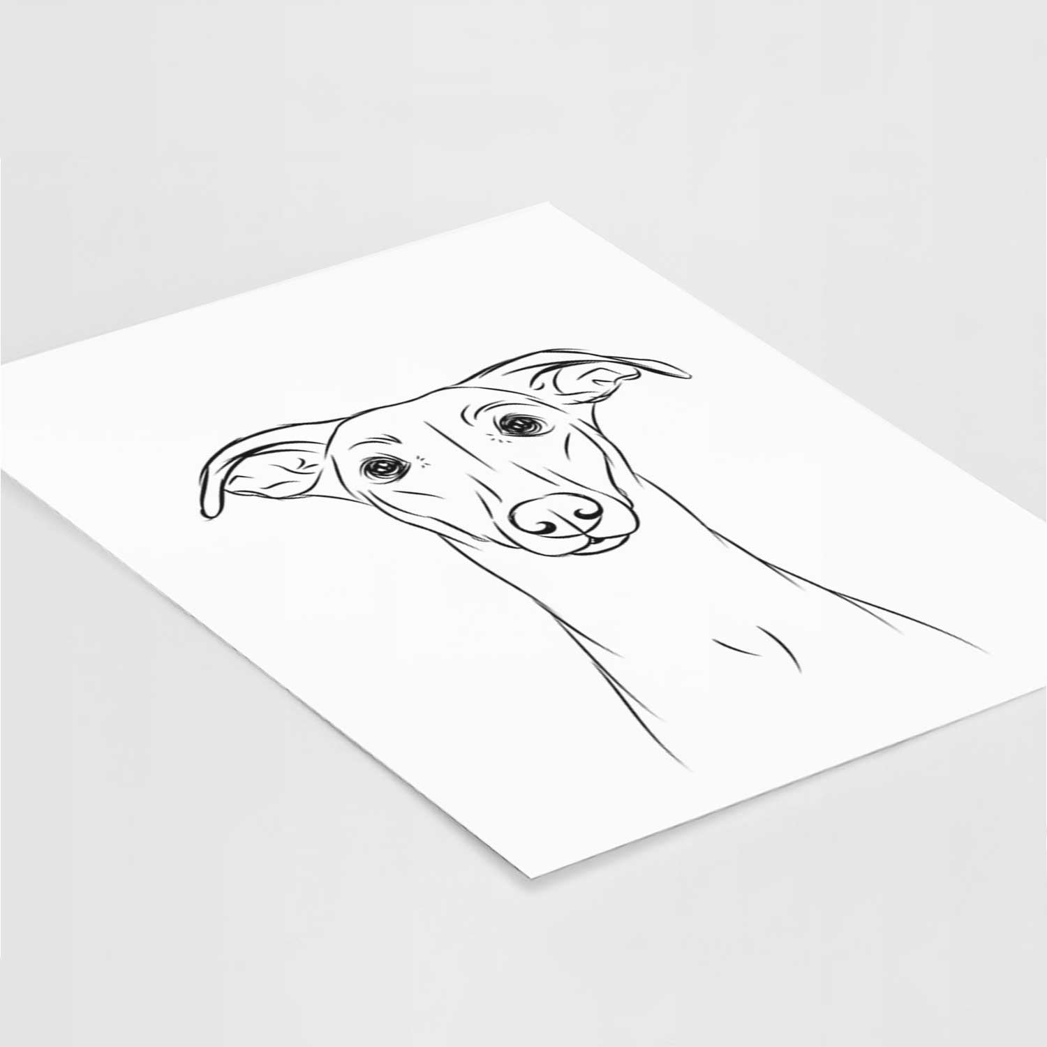 Wallace the Whippet Art Print