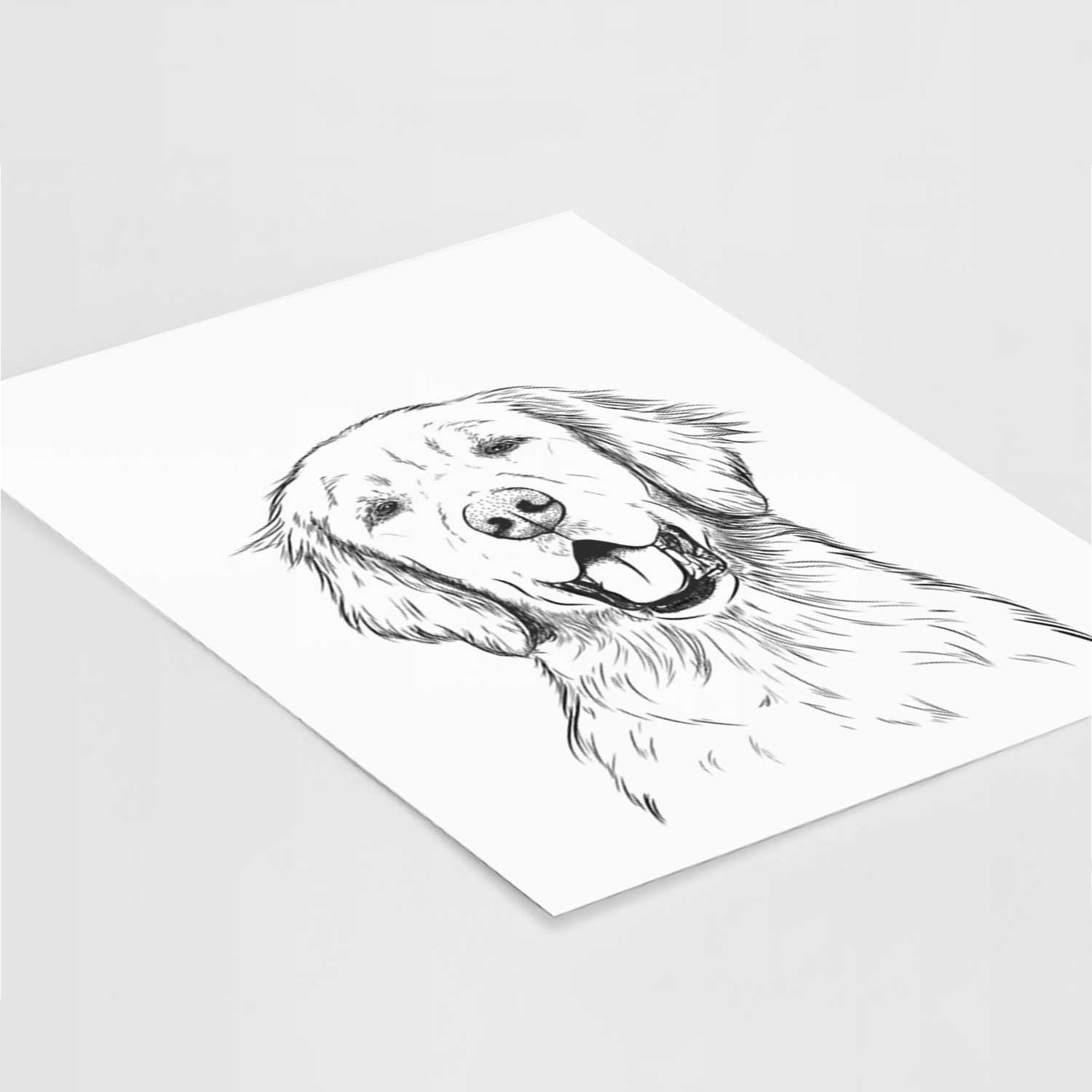 Wallace the golden retriever Art Print