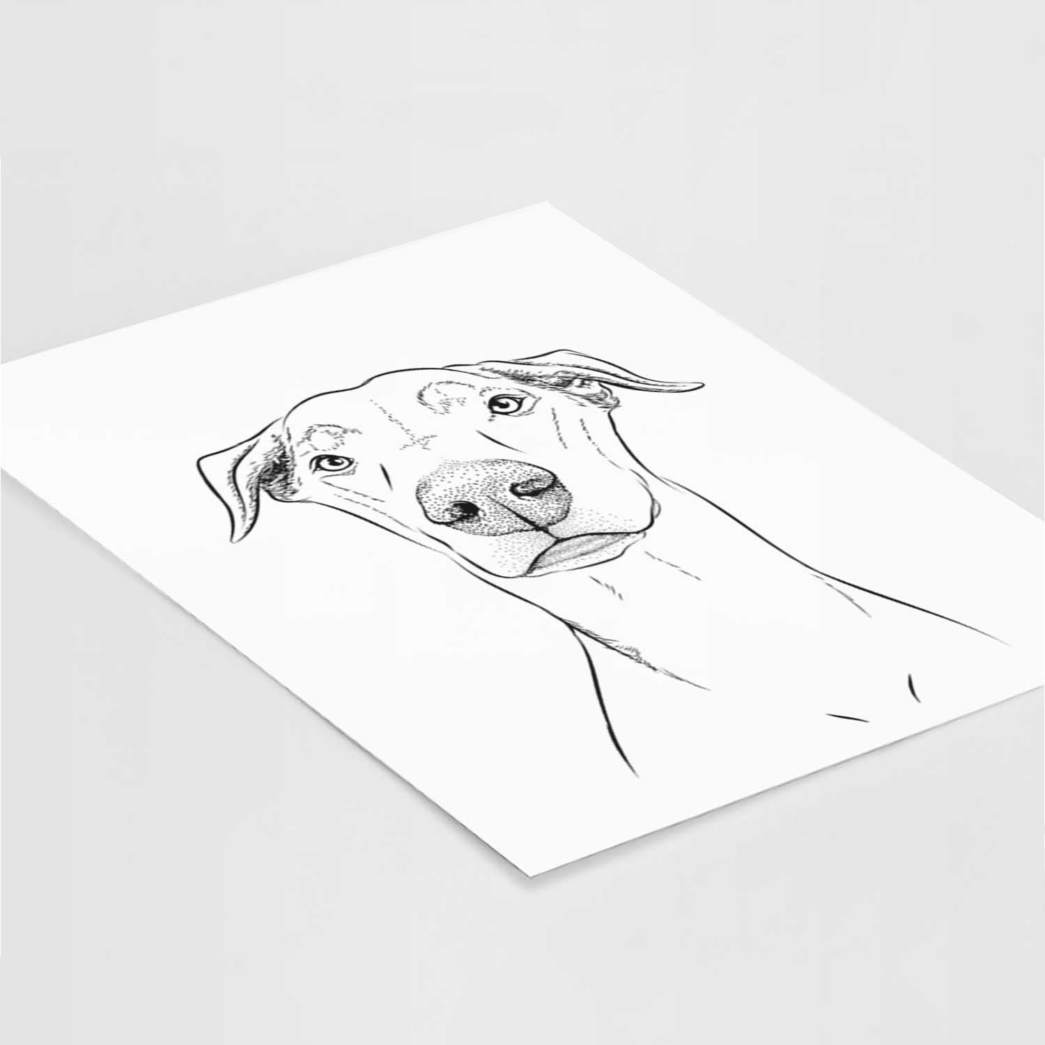 Walter the White Doberman Rescue Art Print